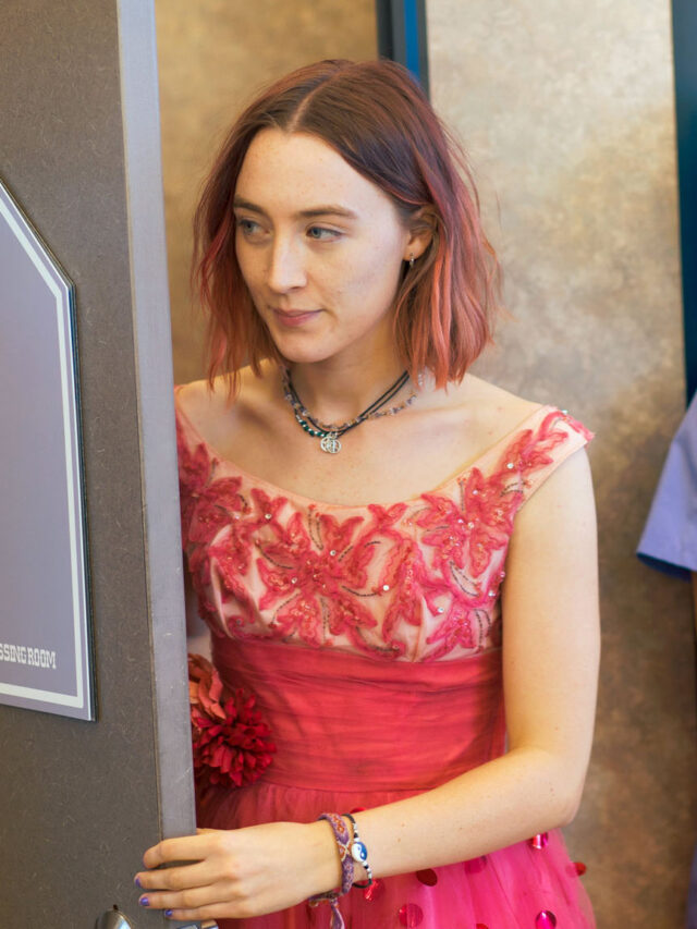 3. Coming-of-Age on Prime 5 Top-Tier Teen Dramas to Binge-Watch (Lady Bird (2017)
